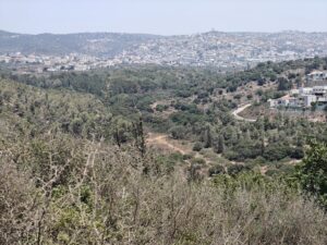 גבעות חריש