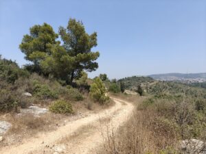 שביל בגבעות חריש