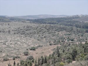 נוף בגבעות חריש