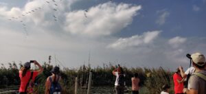 מטיילים מביטים מעלה בנדידת הציפורים בפארק הצפרות במעגן מיכאל