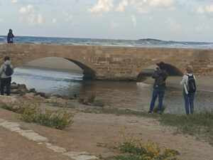שפך נחל תנינים