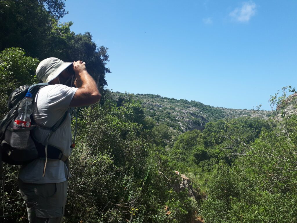 מטייל עם משקפת מחפש עופות דורסים בנחל ספונים 