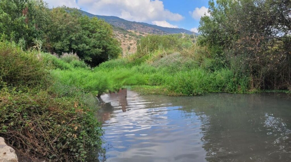 מעיין אלרואי 