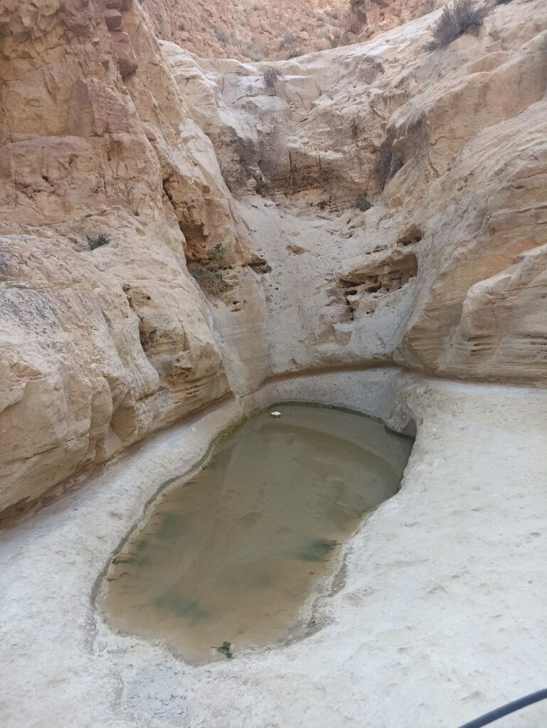 נחל אבוב מים 