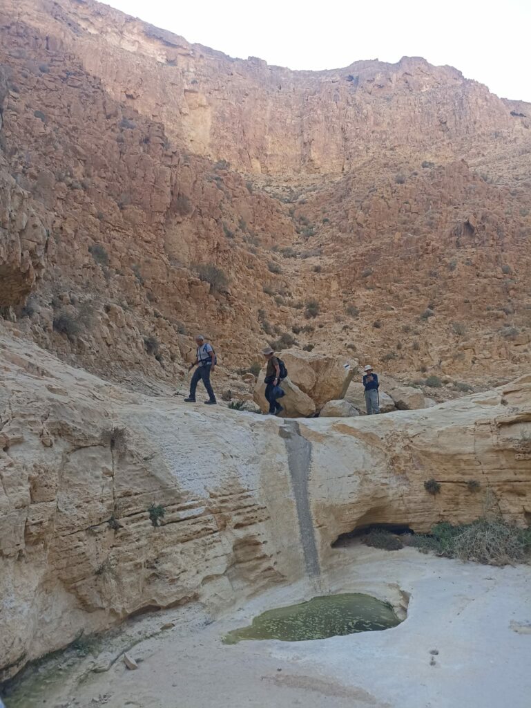 מטיילים בנחל אבוב 