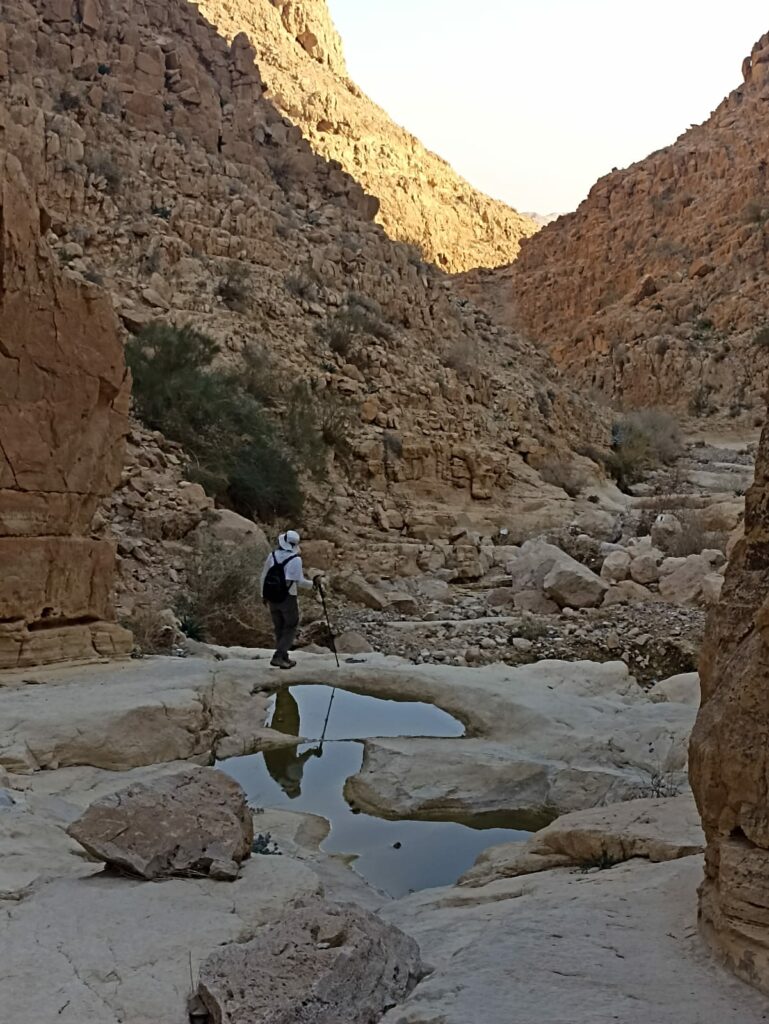 נחל אבוב ומטייל 