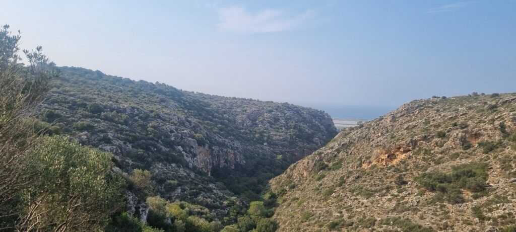 נחל ספונים ונוף לכרמל 