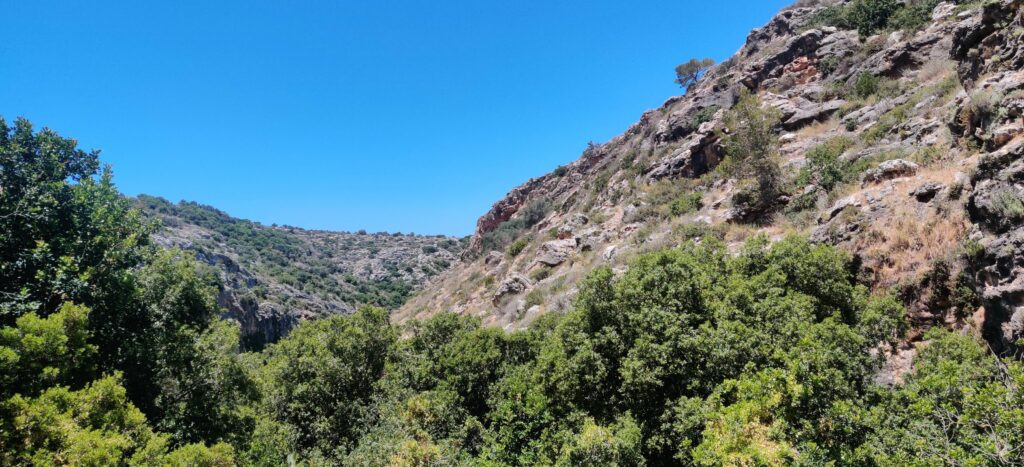 נחל ספונים בכרמל נוף 