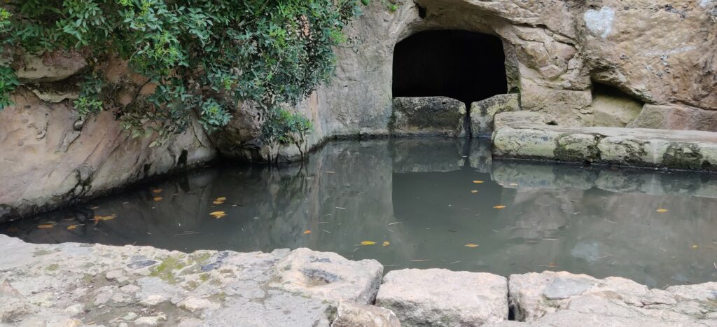 מים בעין משוטטים בנחל שיח בכרמל