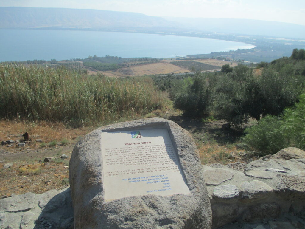 עין פוריה מצפור נעמי שמר 