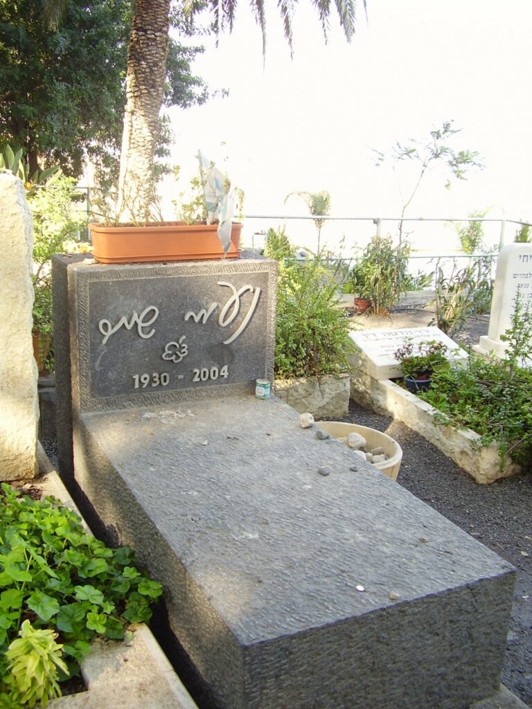 קבר נעמי שמר בכנרת 