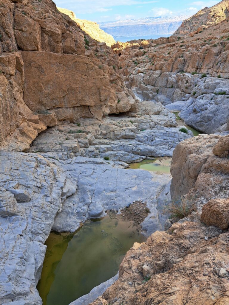 מים בנחל קומראן במדבר יהודה 