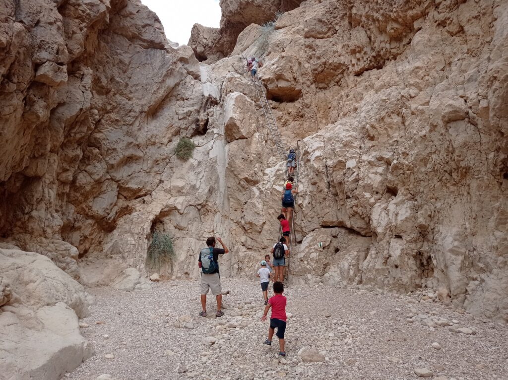 מטיילים מטפסים בנחל תמר במפל התחתון 
