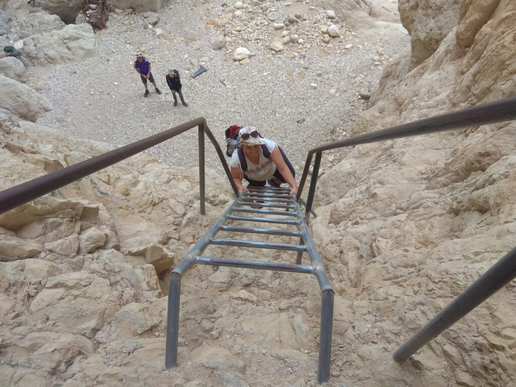 מטיילת מטפסת על סולם בנחל תמר 