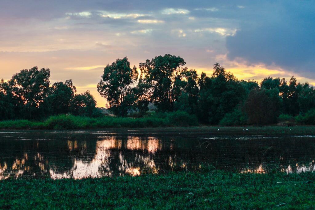 בריכת החורף בשמורת ״בריכת יער״ 