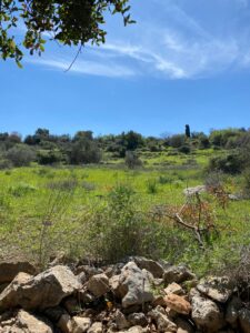 פריחה בשביל הבורות והבארות