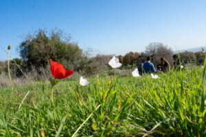 פריחה ומטיילים בפיקניק בבית קשת