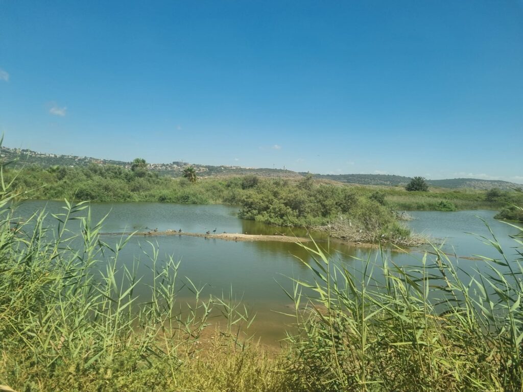 נוף של שמורת דיפלה בכרמל 