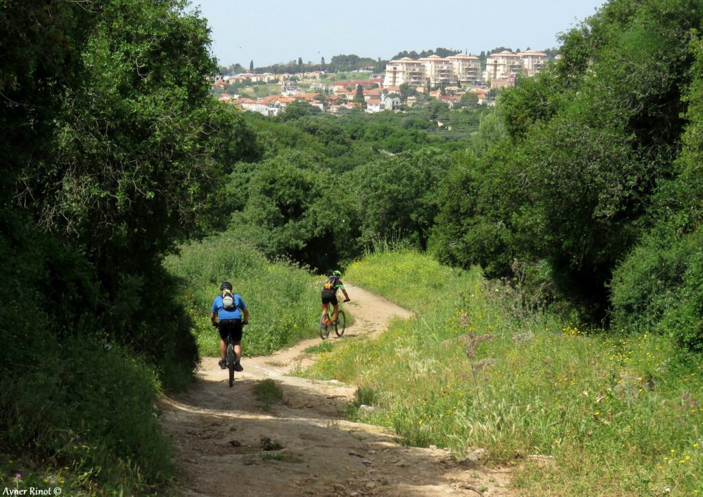 טיול אופניים בשביל בירושלים טבע עירוני