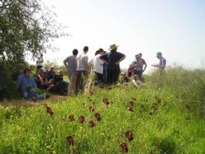 מטיילים בגבעות הכורכר עם איריסים