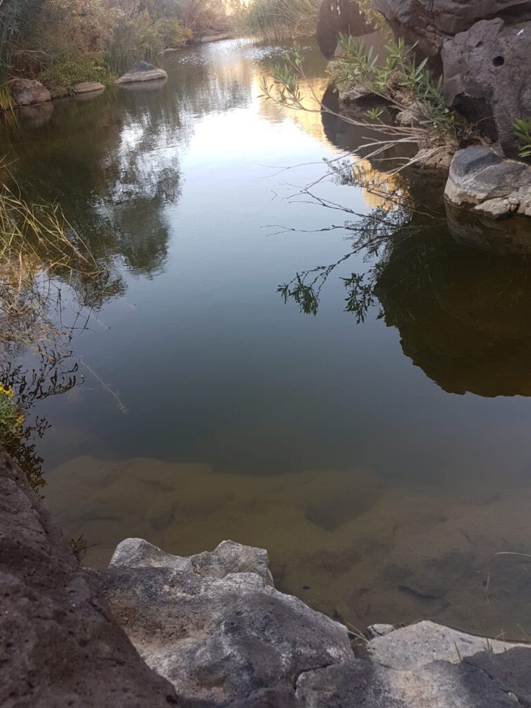 מים בנחל זויתן עליון 