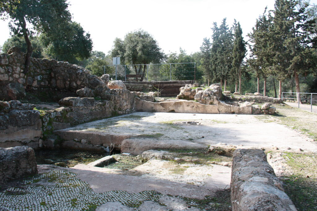 גת בחורבת חנות בהרי ירושלים 