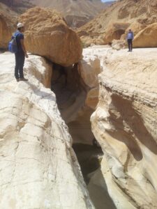 מטיילים בנחל צאלים מעל מצוק