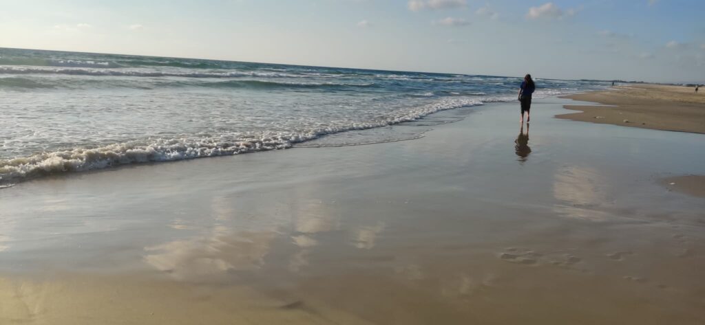 חוף מעיין צבי 