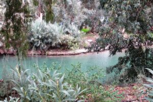 הירדן הדרומי בין הצמחיה מלא במים