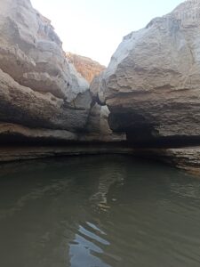 עין נמר מלא במים בנחל צאלים