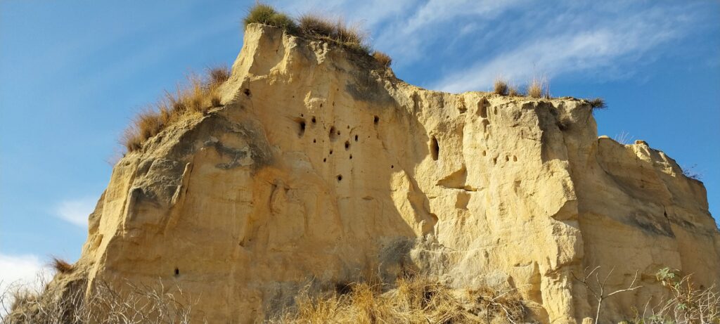 קינון של שרקרקים בשרידים של מחצבה, ליד שביל ישראל באזור שוהם 