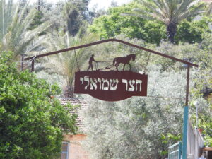 שלט חצר השמואלי בגליל התחתון באילניה
