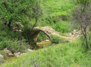 גשר בנחל עמוד מלא בירוק סביבו