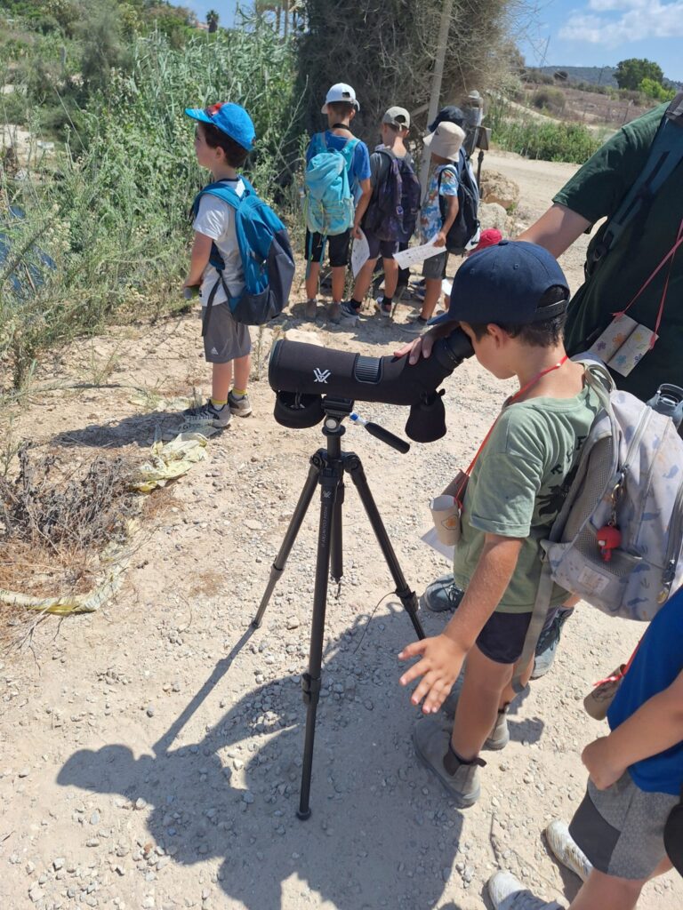 ילדים בקייטנה בפעילות צפרות בטבע עם משקפת 