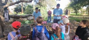 ילדים בפעילות עם מדריכים בטבע בקייטנת קיץ