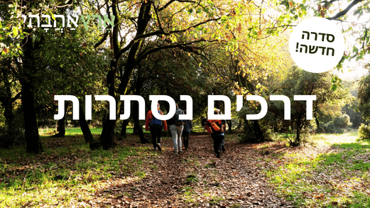 דרכים נסתרות