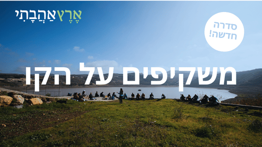 משקיפים על הקו