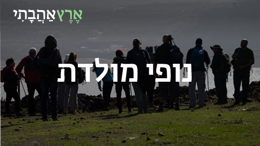 נופי מולדת