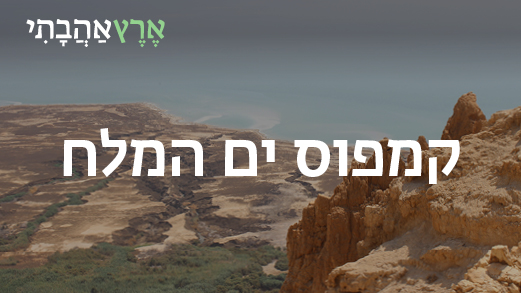קמפוס ים המלח