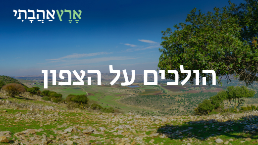 הולכים על הצפון