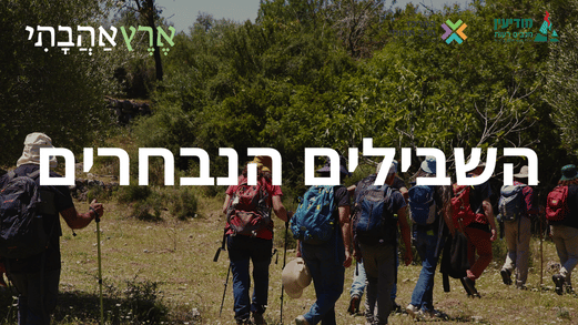 השבילים הנבחרים