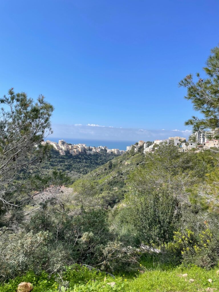 נחל לוטם, צילום: נינה זיו