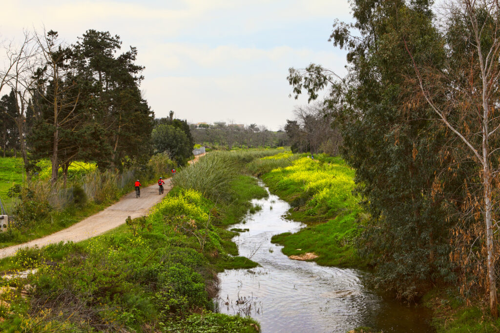 צילום מלמעלה של נחל פולג בפארק יקום