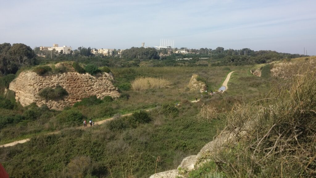 שמורת שער פולג 