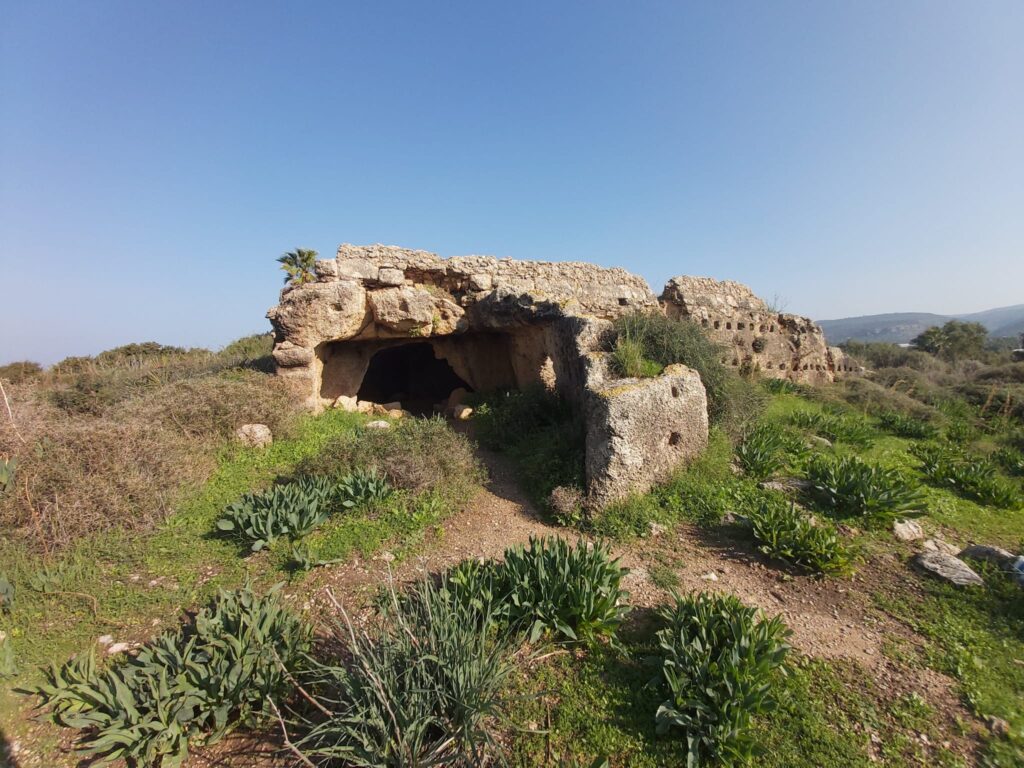 חרבת כרתא בכרמל 