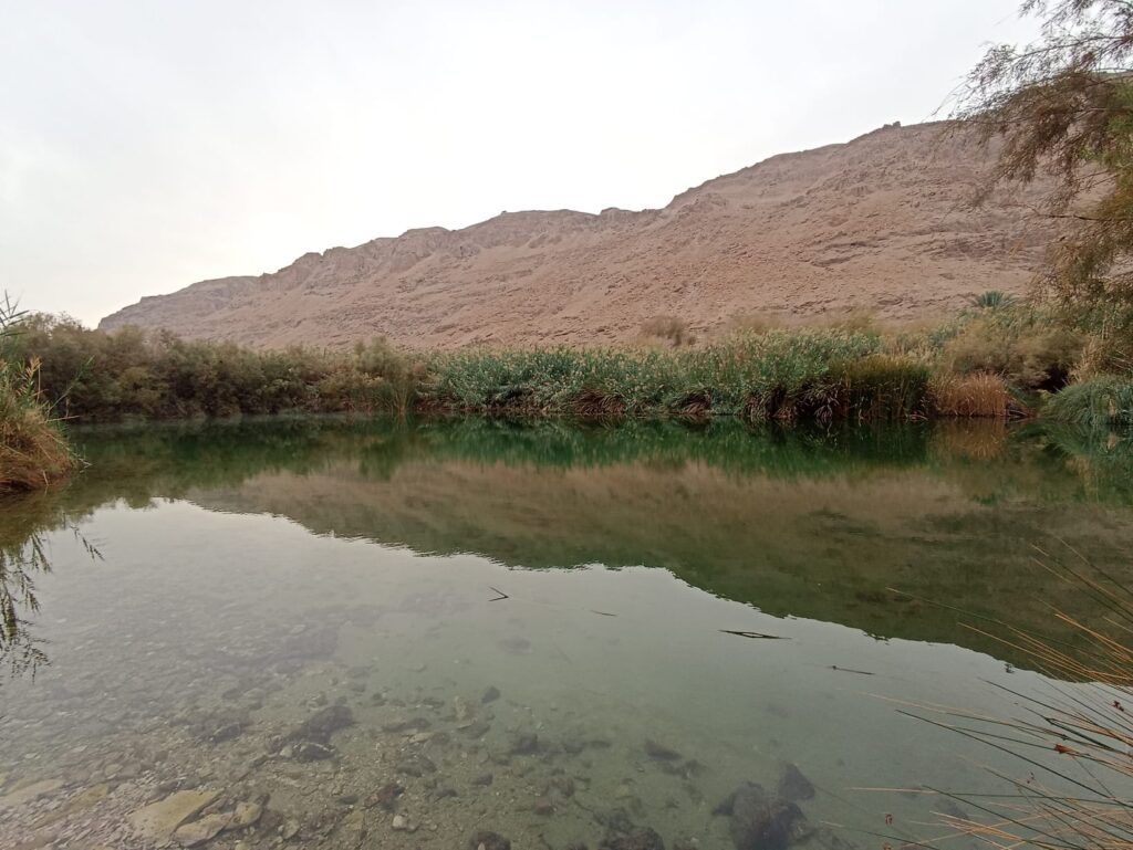 בריכה מלאה מים בעין פשחה