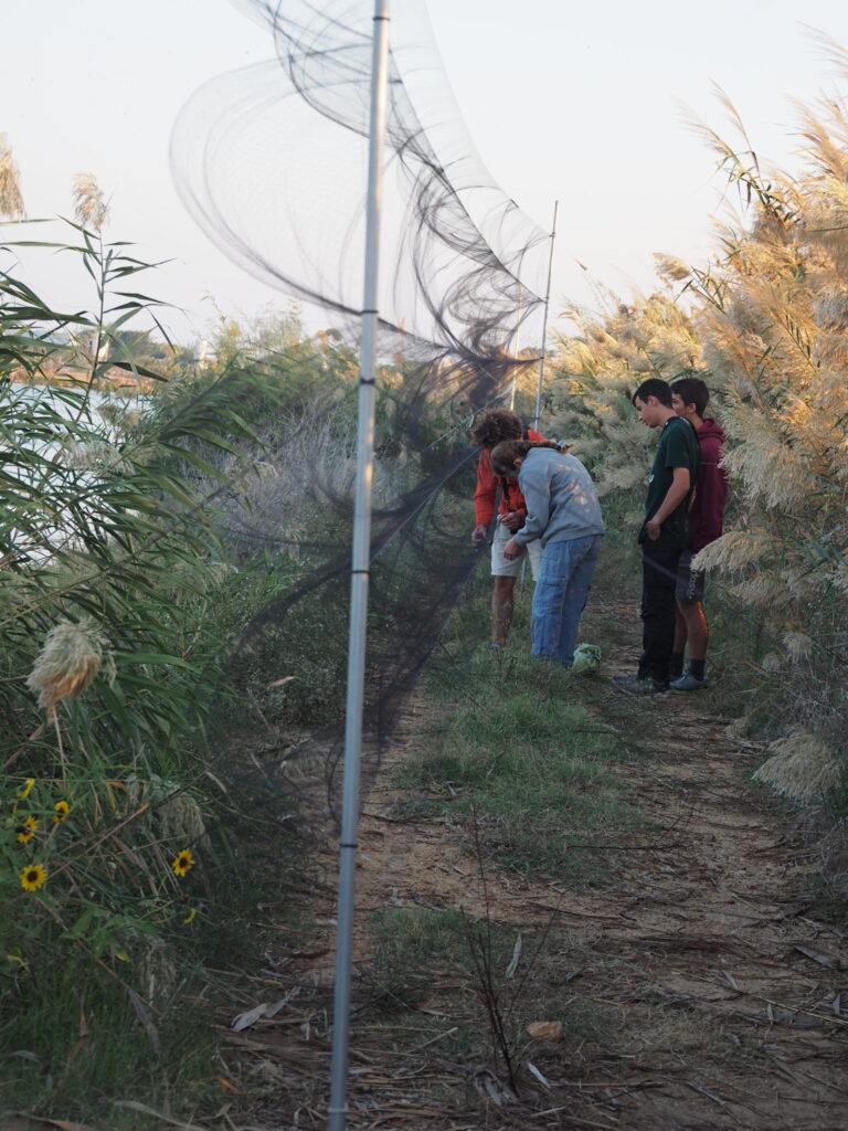 מטיילים עם רשתות טיבוע הבפארק הצפרות מעגן מיכאל 