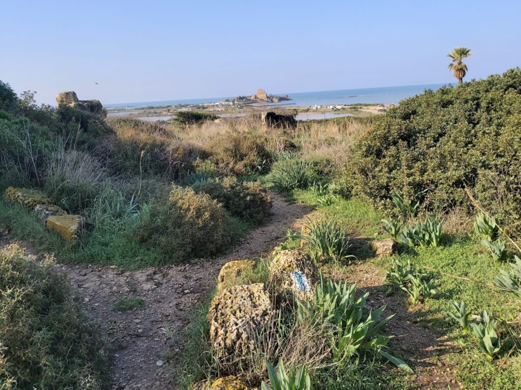 שביל חרבת כרתא 