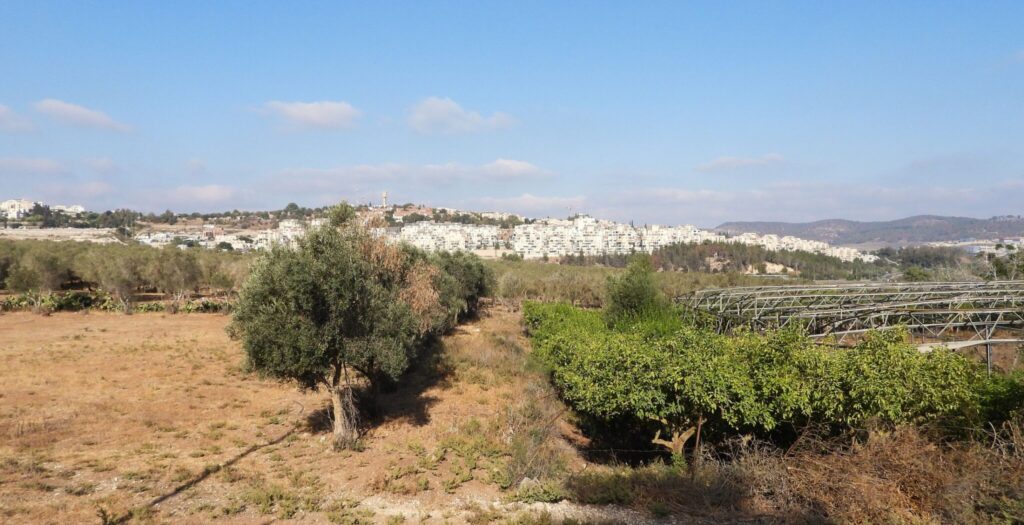 השטח של תוכנית בנייה ו׳2 מזרחית לבית שמש