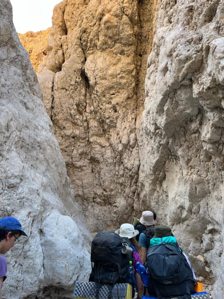 נחל צפית תחתון 